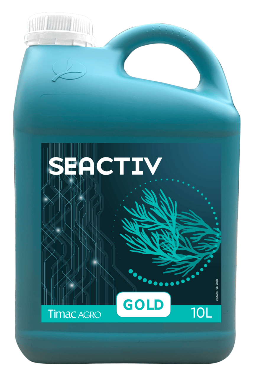 SEACTIV GOLD BMO