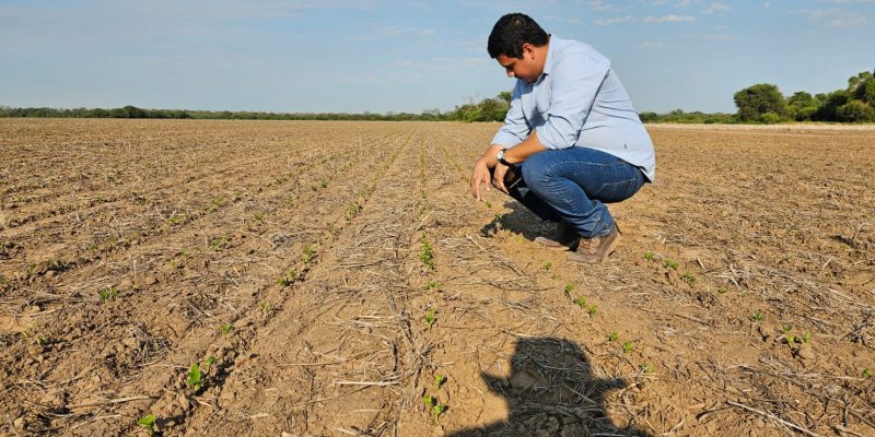 ATC MATHIAS BRITOS - LEGUMINOSAS - SOJA - CHACO (1)